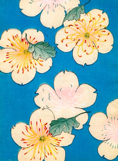 カラー木版画「ハナミズキの花 作： Japanese School