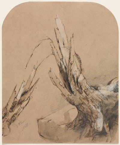 A Blasted Tree (reto) フロアプラン (verso) 作： Jasper F. Cropsey