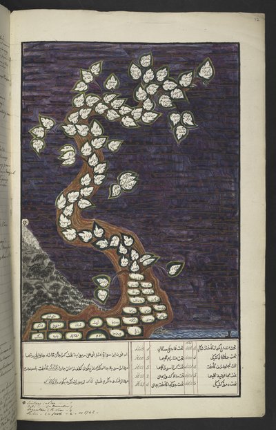 または。 15932、f。 72r、アダムからパクワナ4世（スラカルタの）とマタラム4世（ジョグカルタのハメンクブワナ4世）までのジャワの支配者の木の形をした系図、ジャワの写本、パパケム・パウコン 作： Javanese School