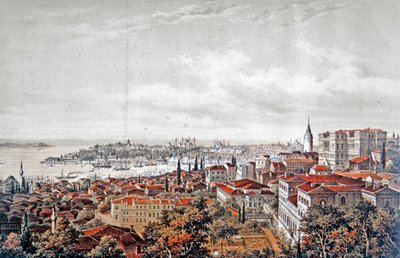 コンスタンティノープルの全景、1850年頃（カラーリトグラフ） 作： Jean (after) Brindesi