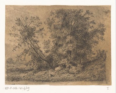 植林地 作： Jean Alexis Achard