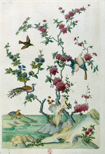 中国の花瓶からのドローイング：鳥と花。ジャン・アントワーヌ・フレイズの絵画（18世紀 作： Jean Antoine Fraisse