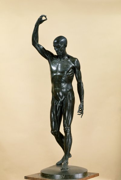 フレイデッドボディ（レコルチェ）（ブロンズ） 作： Jean Antoine Houdon