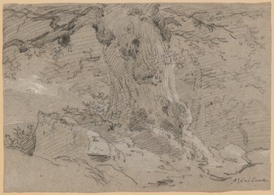 古い木の幹の研究 作： Jean Antoine Linck
