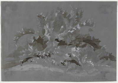 雑草の研究 作： Jean Antoine Linck