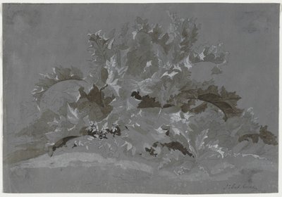 雑草の研究、1800-1850。 作： Jean Antoine Linck