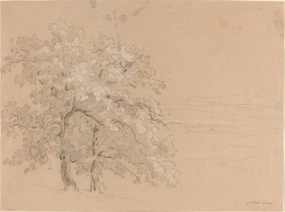パノラマ風景の前の太陽に照らされた木々 作： Jean Antoine Linck