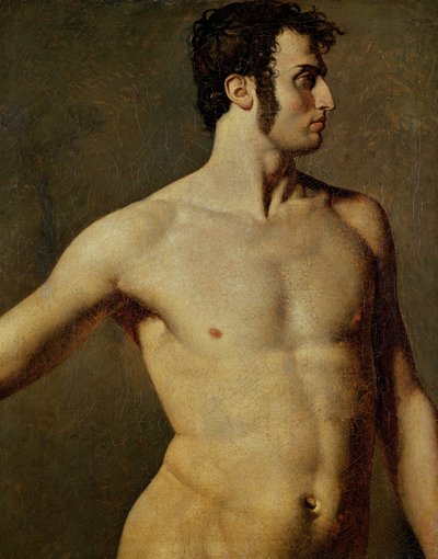 男性の胴体、1800年頃（キャンバスに油彩） 作： Jean Auguste Dominique Ingres