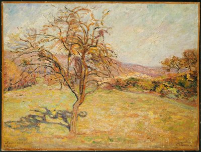 風景、1890 作： Jean Baptiste Armand Guillaumin