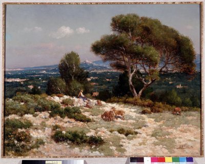 Paimenet Saint Loupin kukkuloilla Marseillessa Jean Baptiste Baudinin (1856-1922) maalaus Dim. 48x63 cm Pakollinen maininta: Kokoelman perustan terveisiä Provencesta, Marseillesta 作： Jean Baptiste Baudin