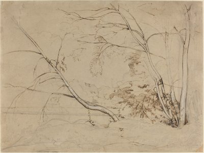 チヴィタ カステリャーナの木々 作： Jean Baptiste Camille Corot