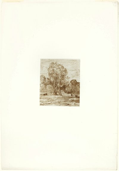 牛の放牧地 作： Jean Baptiste Camille Corot