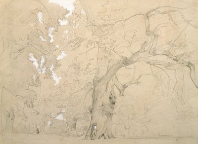 樫の木の前の若い男」1840年頃（紙に鉛筆とガッシュ 作： Jean Baptiste Camille Corot