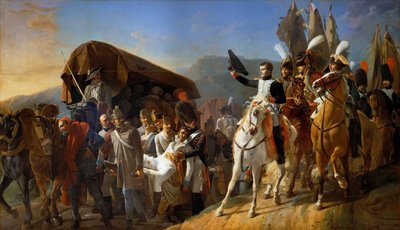 ナポレオンは傷ついた人々の勇気に敬意を表します 作： Jean Baptiste Debret