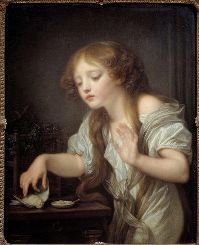 死んでいるのではないかと恐れて鳥に触るのをためらう少女、あるいは死んだ鳥 絵画 ジャン・バティスト・グルーズ（1725-1805） 1800年 日0,68x0,55 m 作： Jean Baptiste Greuze