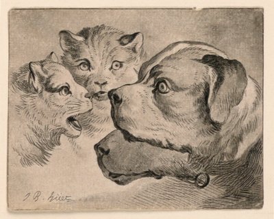 猫と犬の頭 作： Jean Baptiste Huet