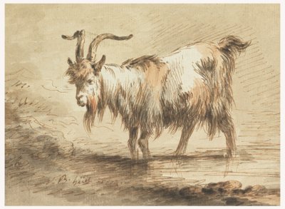 素描《ヤギの習作》1772年 作： Jean-Baptiste Huet