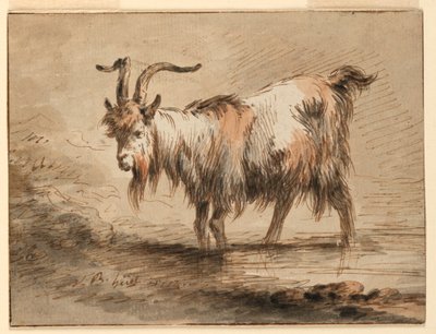素描《ヤギの習作》1772年 作： Jean-Baptiste Huet