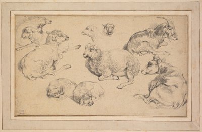 ヒツジ、ヤギ、イヌの研究シート c. 1780年。 作： Jean Baptiste Marie Huet