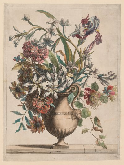 自然からの花のすべての種類の本：花瓶。 作： Jean Baptiste Monnoyer I