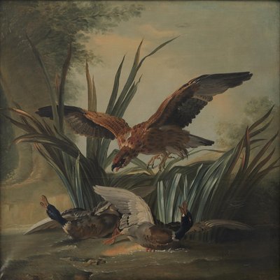 アヒルのつがいを突くタカ 作： Jean Baptiste Oudry