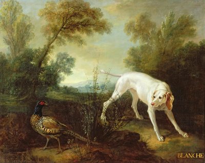 ロイヤルハンティングパックの雌犬、ブランシュ 作： Jean Baptiste Oudry