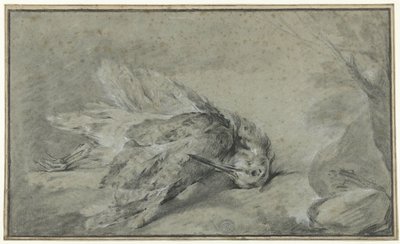 死んだヤマシギ (Scolopaxrusticola) 作： Jean Baptiste Oudry