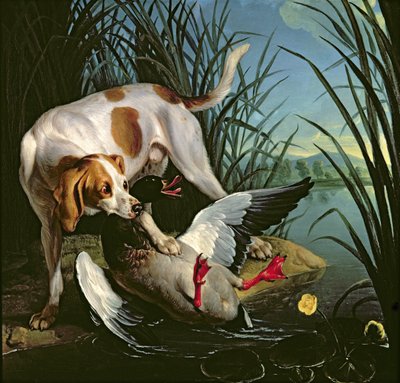 野生のアヒルの犬 作： Jean Baptiste Oudry