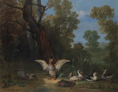 サンシャインで休んでいるアヒル、1753年。 作： Jean Baptiste Oudry