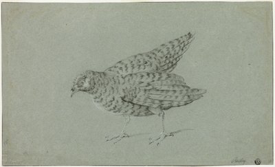 ヤマウズラ 作： Jean Baptiste Oudry