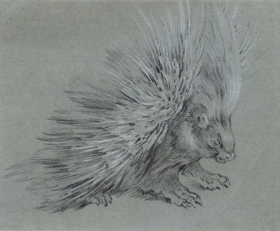 ポーキュパイン 作： Jean-Baptiste Oudry