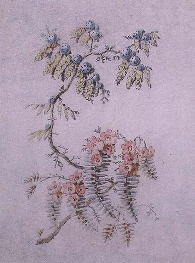 花と実の装飾的考察 作： Jean Baptiste Pillement