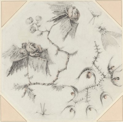 空想の花と虫 作： Jean Baptiste Pillement