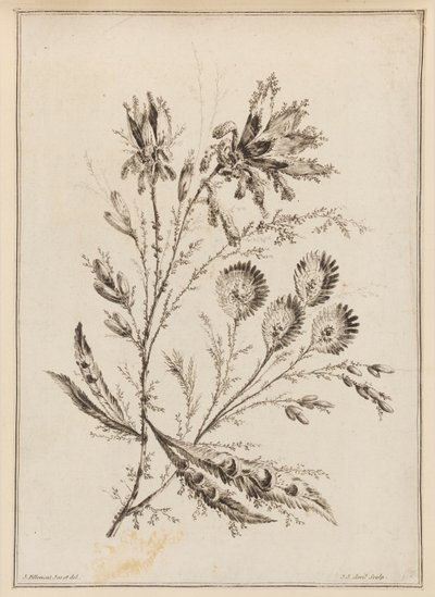 花の枝 作： Jean Baptiste Pillement