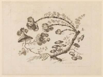 花を買った、「中国の味のさまざまな幻想の花のコレクション」より 作： Jean Baptiste Pillement