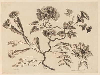 花を買った、「中国の味のさまざまな幻想の花のコレクション」より 作： Jean Baptiste Pillement
