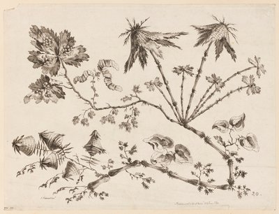 花を買った、「中国の味のさまざまな幻想の花のコレクション」より 作： Jean Baptiste Pillement