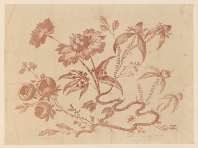 花を買った、「中国の味のさまざまな幻想の花のコレクション」より 作： Jean Baptiste Pillement
