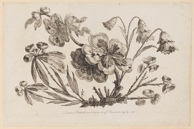 花の枝、「中国の花のコレクション」より 作： Jean Baptiste Pillement