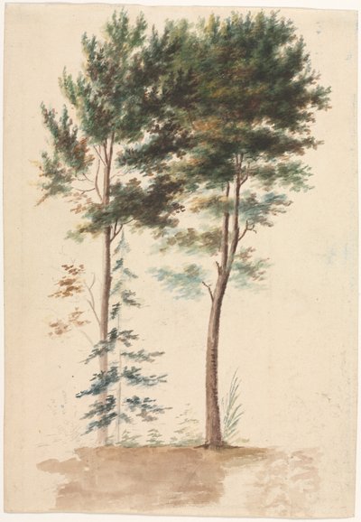 木、1700年代。 作： Jean Baptiste Pillement