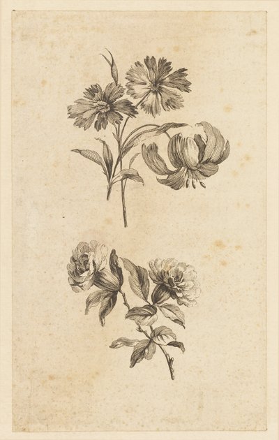 2 つの花の小枝 作： Jean Baptiste Pillement