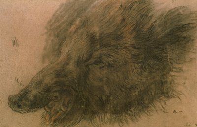 イノシシの頭（木炭） 作： Jean Baptiste Simeon Chardin