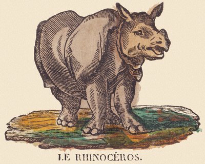 サイ 1840-1852年頃（リトグラフ） 作： Jean Baptiste Thiebault