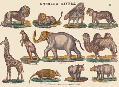 様々な動物 1840-1852年頃（リトグラフ） 作： Jean Baptiste Thiebault