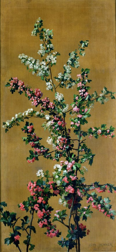 日本の桜とサンザシの枝（ペアは215287再） 作： Jean Benner