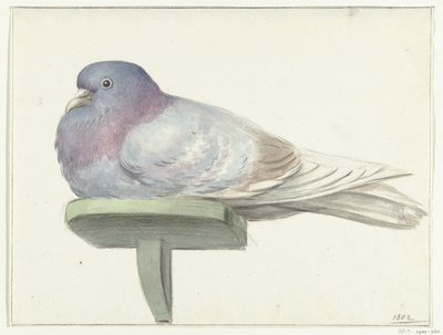 板の上に座る鳩 作： Jean Bernard