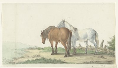 フェンスの横の道路に茶色と白の馬 作： Jean Bernard