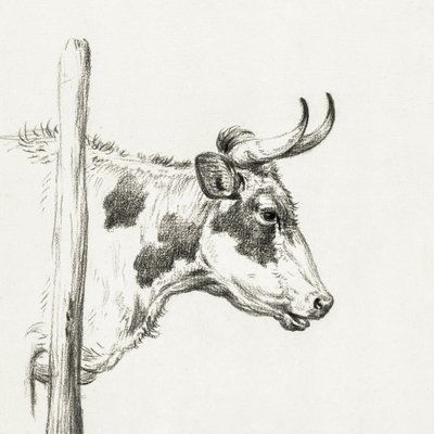 『右を向く牛の頭』（1820年） 作： ジャン・バーナード