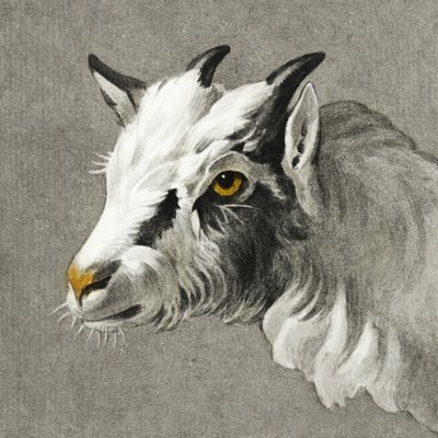 ヤギの頭 作： ジャン・バーナード