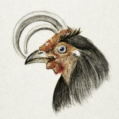 『雄鶏の頭』（1816年） 作： ジャン・バーナード